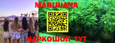 прущие крисы Аргун