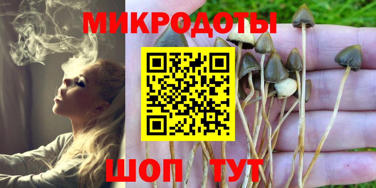 Галлюциногенные грибы Psilocybine cubensis  Псилоцибиновые грибы ЛСД  Ахтубинск  Вход с VPN 