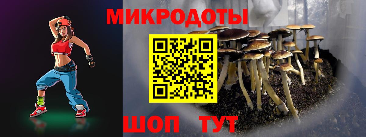 Галлюциногенные грибы GOLDEN TEACHER Ахтубинск